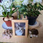 ヒメ日記 2026/01/19 10:05 投稿 上杉(うえすぎ) Ageha（あげは）