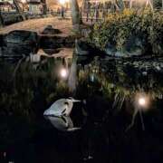 ヒメ日記 2026/01/23 09:07 投稿 上杉(うえすぎ) Ageha（あげは）