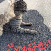 ヒメ日記 2026/01/27 09:10 投稿 上杉(うえすぎ) Ageha（あげは）