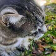 ヒメ日記 2026/01/28 09:15 投稿 上杉(うえすぎ) Ageha（あげは）