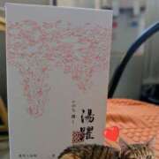 ヒメ日記 2026/01/29 09:00 投稿 上杉(うえすぎ) Ageha（あげは）