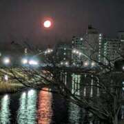 ヒメ日記 2026/01/31 10:09 投稿 上杉(うえすぎ) Ageha（あげは）