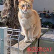 ヒメ日記 2026/02/01 09:16 投稿 上杉(うえすぎ) Ageha（あげは）