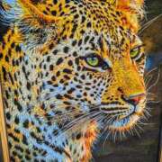 ヒメ日記 2026/02/07 11:26 投稿 上杉(うえすぎ) Ageha（あげは）