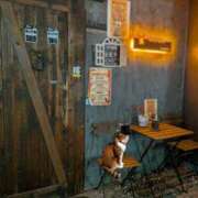 ヒメ日記 2026/02/16 08:21 投稿 上杉(うえすぎ) Ageha（あげは）