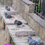 ヒメ日記 2026/02/23 09:08 投稿 上杉(うえすぎ) Ageha（あげは）