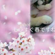 ヒメ日記 2026/02/24 09:11 投稿 上杉(うえすぎ) Ageha（あげは）