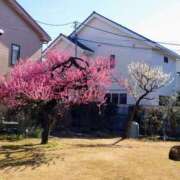 ヒメ日記 2026/02/25 08:50 投稿 上杉(うえすぎ) Ageha（あげは）