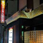 ヒメ日記 2026/02/27 09:06 投稿 上杉(うえすぎ) Ageha（あげは）