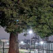 ヒメ日記 2026/03/02 09:12 投稿 上杉(うえすぎ) Ageha（あげは）