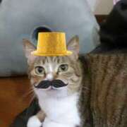 ヒメ日記 2026/03/06 14:29 投稿 上杉(うえすぎ) Ageha（あげは）