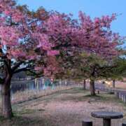 ヒメ日記 2026/03/11 09:06 投稿 上杉(うえすぎ) Ageha（あげは）