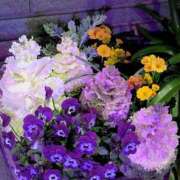 ヒメ日記 2026/03/13 09:09 投稿 上杉(うえすぎ) Ageha（あげは）