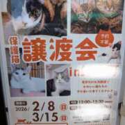 ヒメ日記 2026/03/15 09:03 投稿 上杉(うえすぎ) Ageha（あげは）