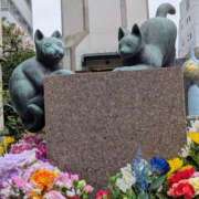 ヒメ日記 2026/03/26 09:14 投稿 上杉(うえすぎ) Ageha（あげは）