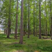 ヒメ日記 2026/04/25 14:44 投稿 上杉(うえすぎ) Ageha（あげは）