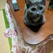 ヒメ日記 2026/06/09 09:34 投稿 上杉(うえすぎ) Ageha（あげは）