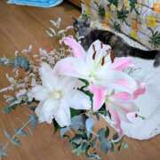 ヒメ日記 2026/06/26 09:04 投稿 上杉(うえすぎ) Ageha（あげは）