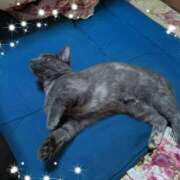 ヒメ日記 2026/06/28 09:05 投稿 上杉(うえすぎ) Ageha（あげは）