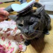 ヒメ日記 2026/07/12 09:03 投稿 上杉(うえすぎ) Ageha（あげは）