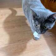 ヒメ日記 2026/08/09 08:55 投稿 上杉(うえすぎ) Ageha（あげは）