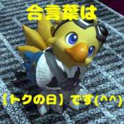 ゆみ お知らせです 川崎・東横人妻城