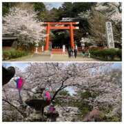 ヒメ日記 2026/04/03 11:17 投稿 ゆみ 川崎・東横人妻城