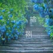 ヒメ日記 2025/06/01 22:24 投稿 すみれ LOVE CLOVER（らぶくろーばー）