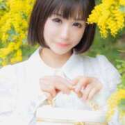 ヒメ日記 2025/04/01 07:49 投稿 シャロン アラビアンナイト