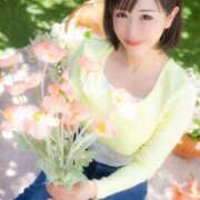 ヒメ日記 2025/05/12 07:22 投稿 シャロン アラビアンナイト