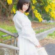 ヒメ日記 2025/06/02 09:54 投稿 シャロン アラビアンナイト