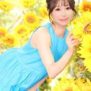 ヒメ日記 2025/08/01 00:16 投稿 シャロン アラビアンナイト