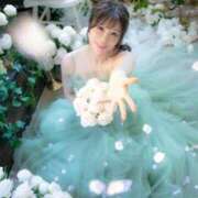 ヒメ日記 2025/10/15 23:18 投稿 シャロン アラビアンナイト