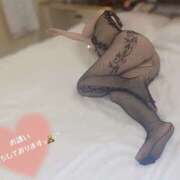 ヒメ日記 2025/05/04 12:40 投稿 ちあき 宇都宮人妻デリバリー 一期一会 二章