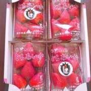 ヒメ日記 2026/02/27 19:43 投稿 りみ 宇都宮人妻デリバリー 一期一会 二章