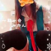 ヒメ日記 2024/12/31 16:38 投稿 みかん 宇都宮人妻デリバリー 一期一会 二章