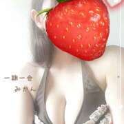 ヒメ日記 2025/01/28 09:32 投稿 みかん 宇都宮人妻デリバリー 一期一会 二章