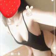 ヒメ日記 2025/04/30 07:21 投稿 みかん 宇都宮人妻デリバリー 一期一会 二章