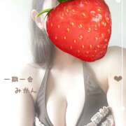 ヒメ日記 2026/02/13 06:41 投稿 みかん 宇都宮人妻デリバリー 一期一会 二章