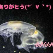 ヒメ日記 2024/07/30 14:10 投稿 しの 宇都宮人妻デリバリー 一期一会 二章