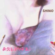 しの お久しぶりデスm(__)m 宇都宮人妻デリバリー 一期一会 二章