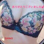 しの 昨日は…💞 宇都宮人妻デリバリー 一期一会 二章