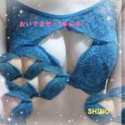 しの ◯軍団… 宇都宮人妻デリバリー 一期一会 二章