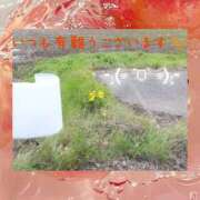 ヒメ日記 2026/04/21 11:04 投稿 しの 宇都宮人妻デリバリー 一期一会 二章