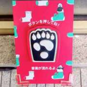 ヒメ日記 2025/12/21 10:27 投稿 ゆきこ ママれもん錦糸町店