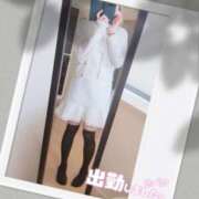 ヒメ日記 2025/03/25 11:44 投稿 橋本静香 五十路マダム 郡山店