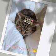 ヒメ日記 2025/05/26 07:46 投稿 橋本静香 五十路マダム 郡山店