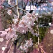 ヒメ日記 2026/04/09 11:28 投稿 橋本静香 五十路マダム 郡山店