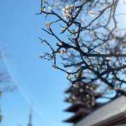 かんな がんばる方に励まされてます❁⃘*.ﾟ 夜這専門発情する奥様たち 谷九店