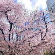 ヒメ日記 2025/04/27 19:32 投稿 ひまり 恋愛マット同好会